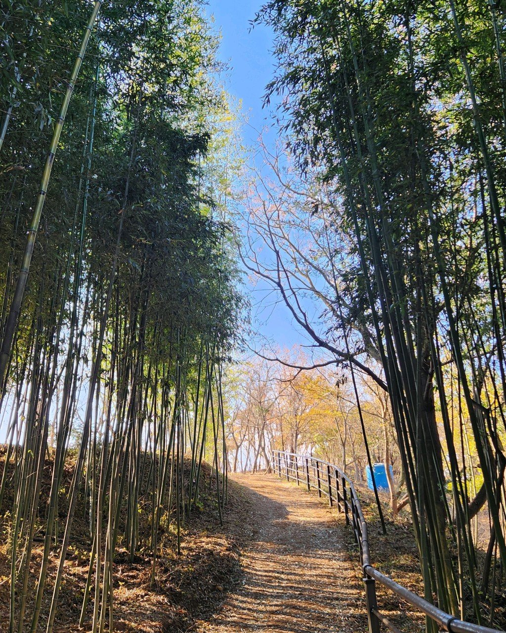 씨릉섬